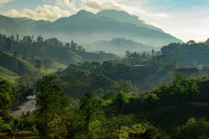 Guatemala Landscape