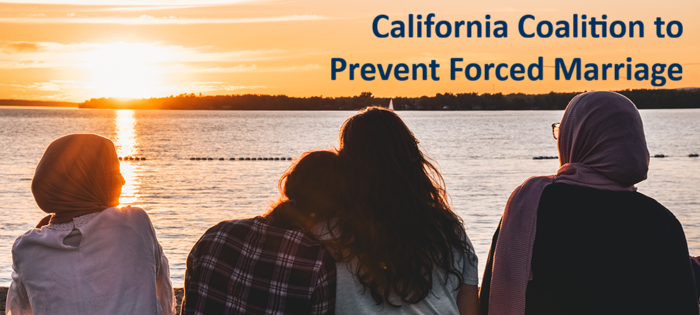 4 friends look out at a sunset over the water. Bold blue text reads "california coalition to prevent forced marriage"